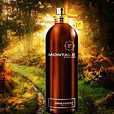 По мотивам Aoud forest